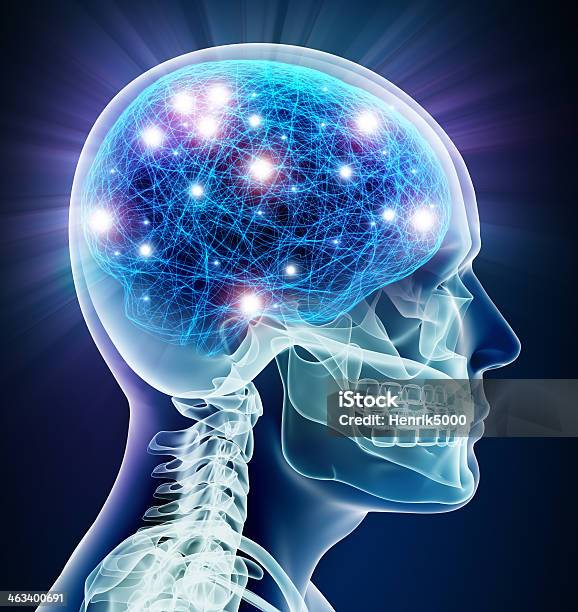 Neuronas Del Cerebro Con Rayos X Foto de stock y más banco de imágenes de Corte transversal - Corte transversal, Sinapsis, Sistema nervioso humano