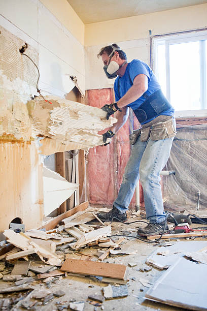 istock Home Renovations - Tear Out 463400847