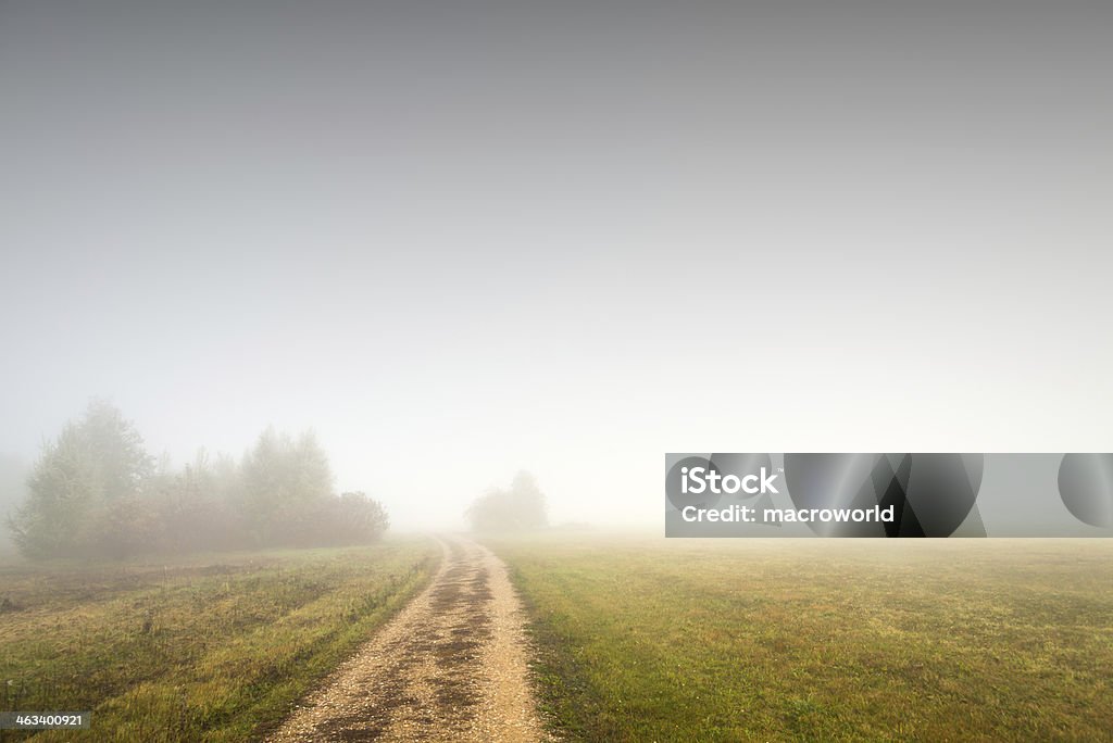 Misty automne/hiver paysage - 36 Mpx - Photo de Horizon libre de droits