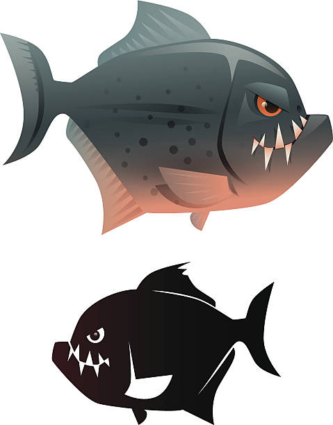 illustrazioni stock, clip art, cartoni animati e icone di tendenza di printangry pesce - piranha