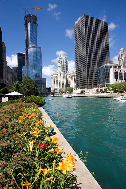 rzeka chicago architektura i kwiaty - equitable building zdjęcia i obrazy z banku zdjęć