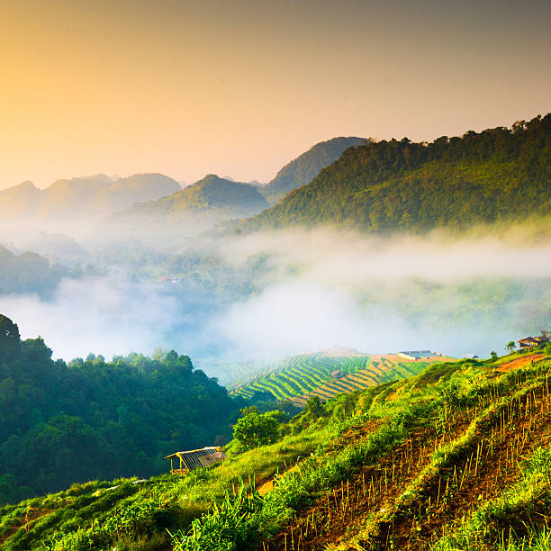 Beautiful sunshine at misty morning mountains at north thailand