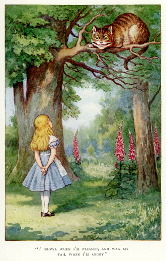 Vintage colour lithograph of Alice and the Cheshire Cat, from Alice's Adventures in Wonderland by Lewis Carroll, John Tenniel.