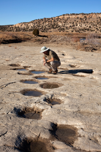 After snows melted and filled the tracks with water and ice, a hiker closely inspects part of the Apatosaurus dinosaur trackway along the Purgatoire River in Picket Wire Canyon, part of the Comanche National Grasslands of southeast Colorado. During the late Jurassic Period about 150 million years ago, dinosaurs congregated along the shores of a vast freshwater lake in what is now southeastern Colorado. They left behind large trackways in the mud which shows up today eroded by river waters as over 1300 dinosaur footprints in limestone along the Purgatoire River. Most of these tracks are by made by herding Apatosaurus or sauropod dinosaurs. Part of the Picket Wire Canyonlands, the tracksite is the largest dinosaur tracksite in North America.