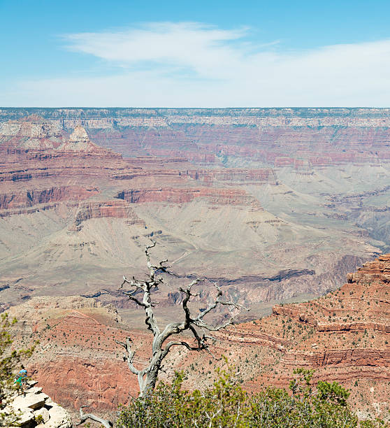 istock Grand Canyon National Park 463403549