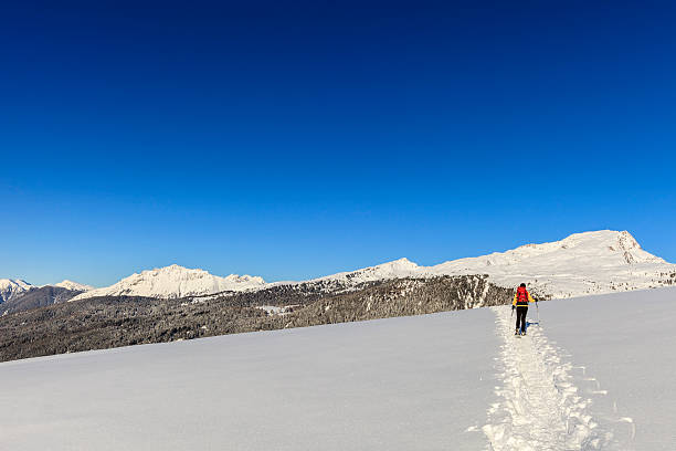 istock Pale di San Martino Natural Park in Winter 463403737