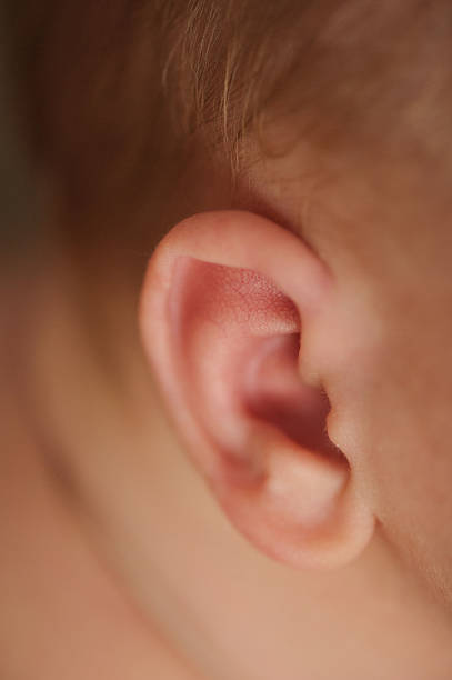 istock Closeup of Newborn Baby's Ear 463408287