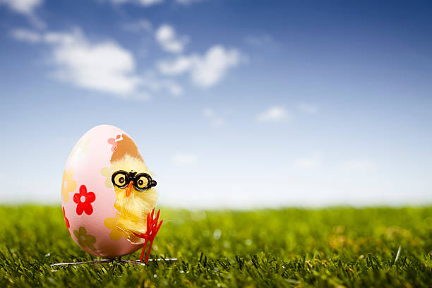 Chicken in Easter Egg Chair