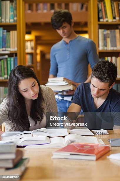 Three People Studying In A Library Stock Photo - Download Image Now - 20-29 Years, Adult, Book