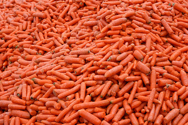 Pile of Carrots Stack