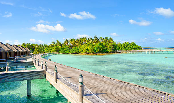 istock Maldives charming summer sea 463412893