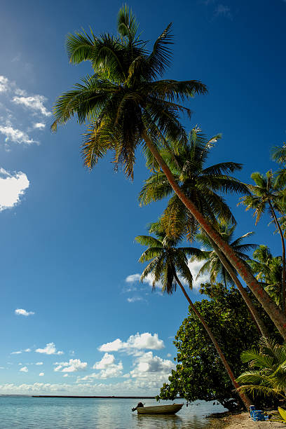 A lone boat parked in a tranquil setting under a leaning palm tree on Motu Mahana off the island of Taha'a, a Tahitian Island in the South Pacific.