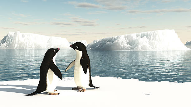 istock Adelie Penguins on an iceberg 463417951