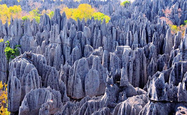 stone lamellen tsingy de bemaraha an, madagaskar - mountain majestic park cliff stock-fotos und bilder