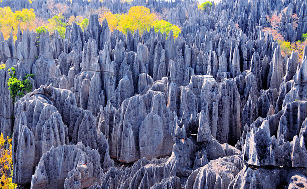 Stone blades at Tsingy de Bemaraha, Madagascar stock photo