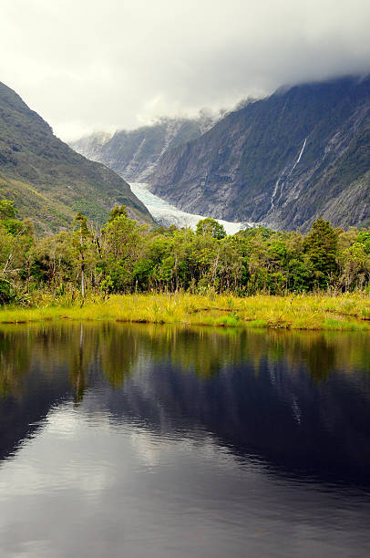 Franz josef glacier stock photo