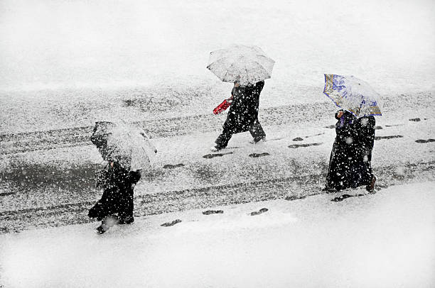 snowstrom - nevicata foto e immagini stock