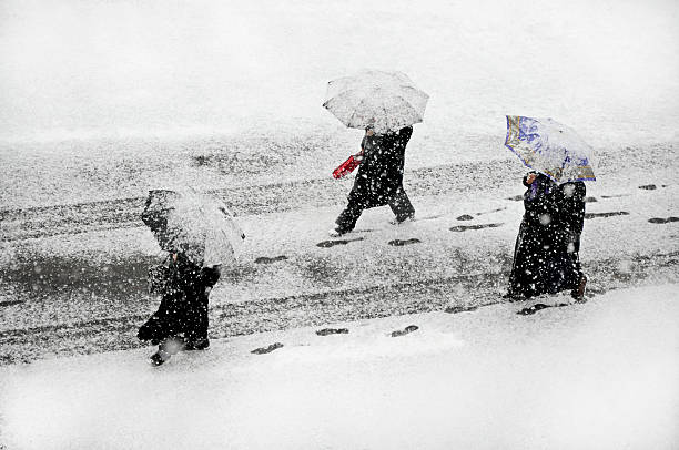 snowstrom - 雪が降る ストックフォトと画像