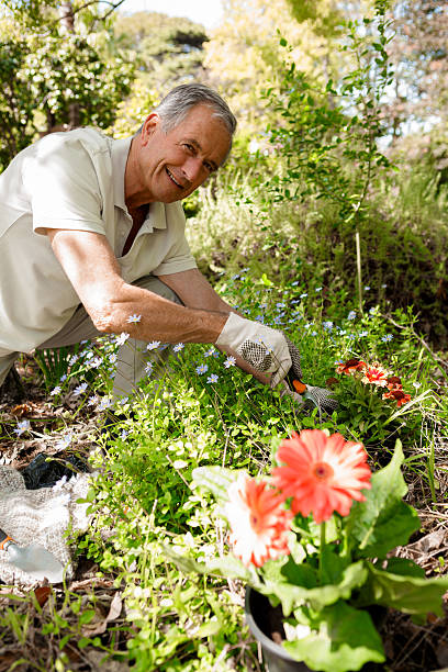 istock Smiling mature man gardening on his knee 463427731