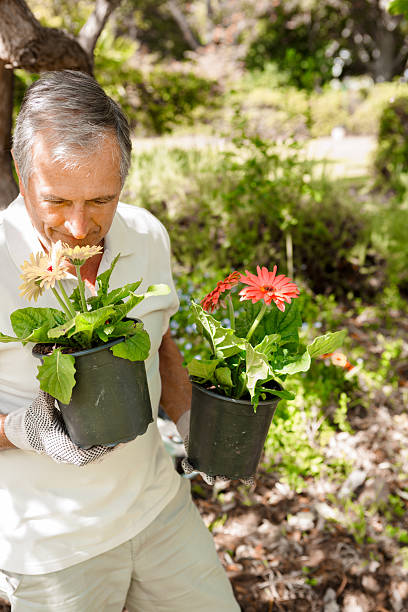 istock Retired mature man smelling flowers 463427733