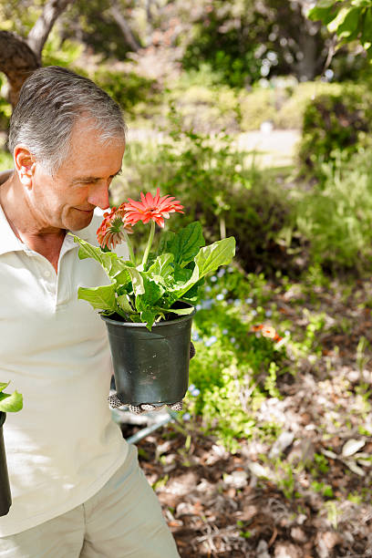 istock Delighted mature man smelling flowers 463427737