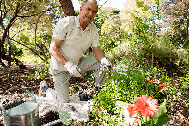 istock Retired mature man gardening on his knee 463427741