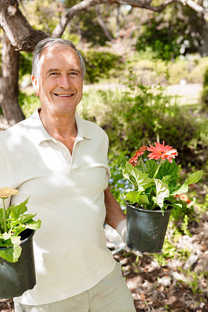 istock Delighted mature man holding potted flowers 463427747