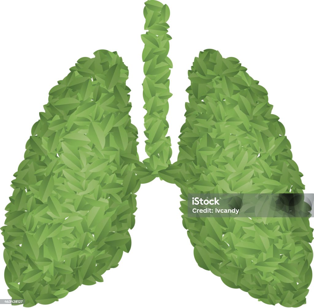 Green lung Gradient used. Cut Out stock vector