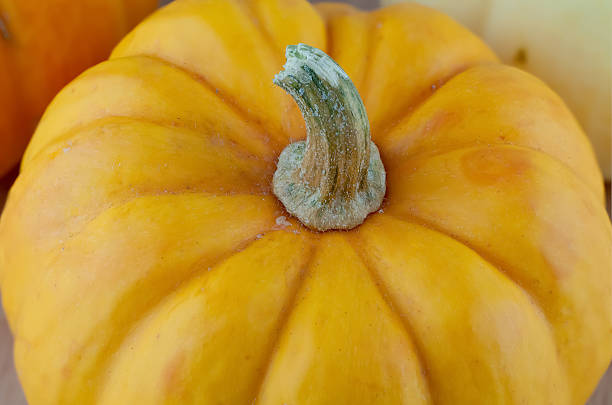 istock close up of small pumpkins 463428175