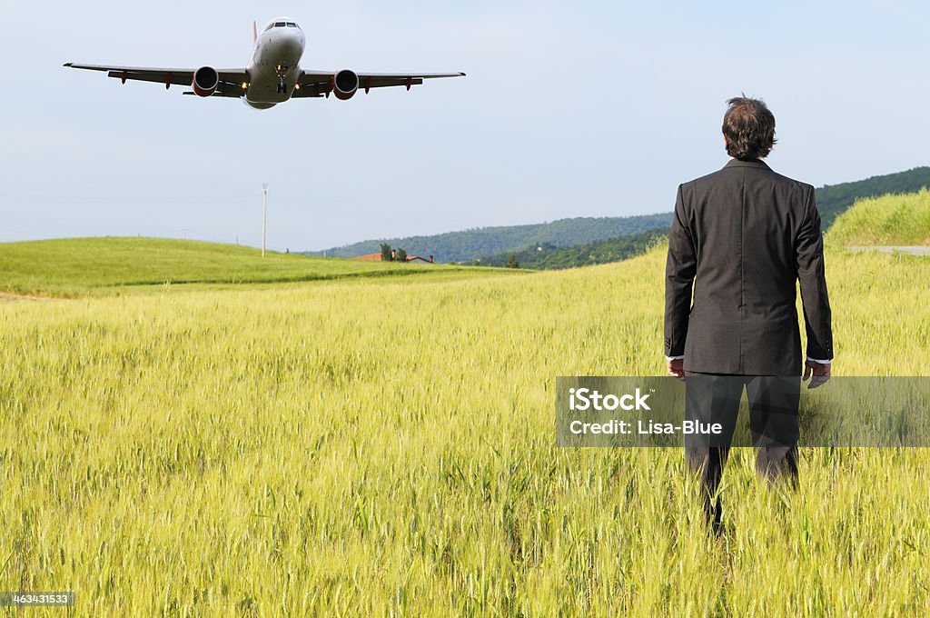 Businessman and Airplane Businessman in the countryside Adult Stock Photo