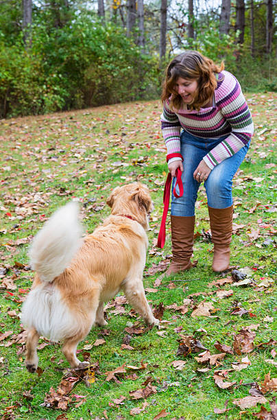 istock Young red haired woman playing with golden retriever 463432491