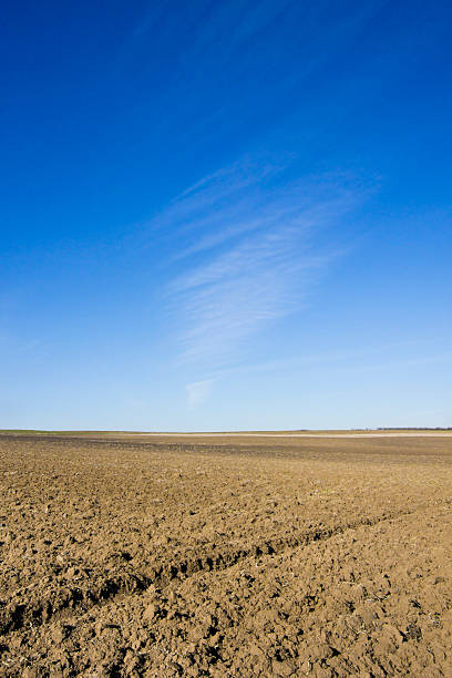 istock plowed field on sunny day 463432813