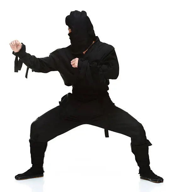 Ninja in actionhttp://www.twodozendesign.info/i/1.png