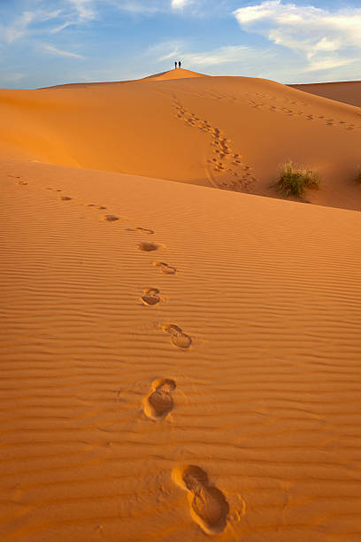 istock Men on Erg Chebbi Sand Dune at Sunrise, Morocco, Africa 463444849