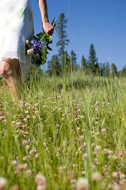 Donna Camminare nel trifoglio - foto stock