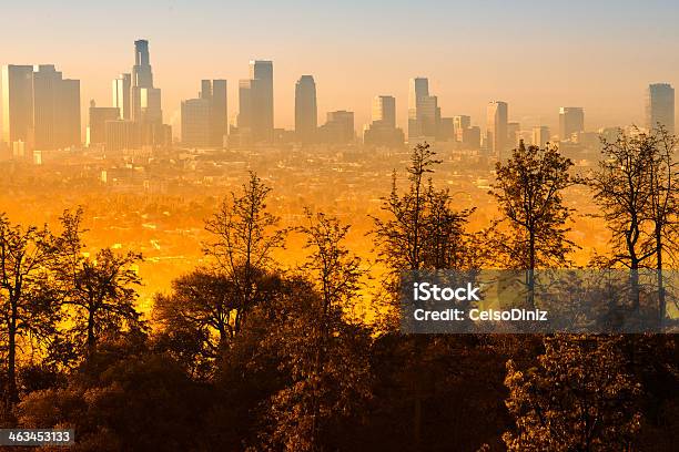 Downtown Los Angeles As Seen From The Griffith Observatory Stock Photo - Download Image Now