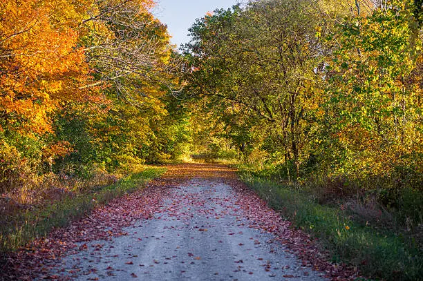 Photo of Fall Country Road