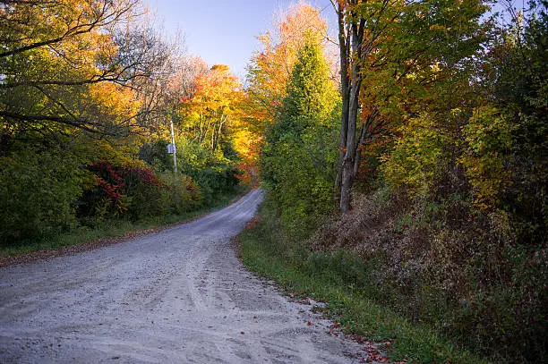 Photo of Fall Country Road