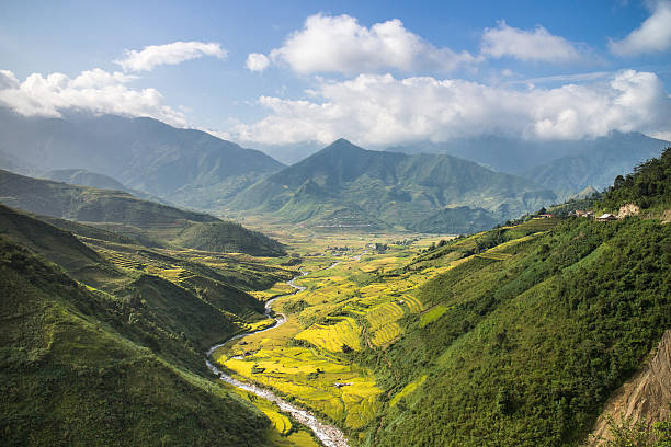 istock Rice terraces in Vietnam 463461435