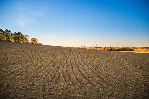Photo of Farmers Corn Field