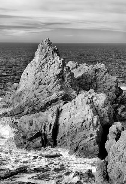 морской пейзаж в поинт лобос в черно-белом - point lobos state reserve big sur california beach стоковые фото и изображения