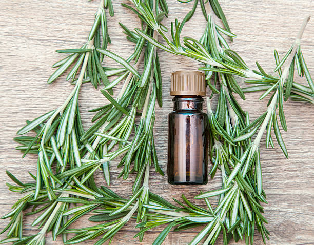 istock aromatic oil of rosemary 463467169