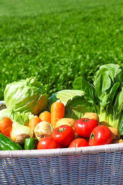 istock Harvest of vegetables 463471067