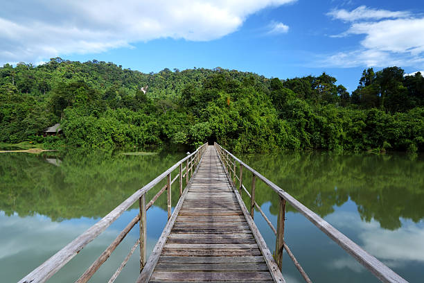 istock Wooden footbridge 463471291