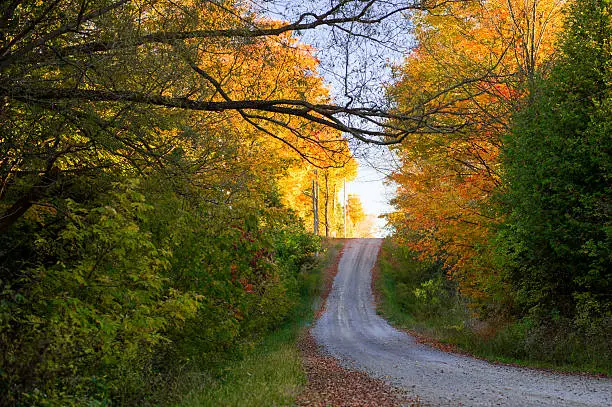 Photo of Fall Country Road