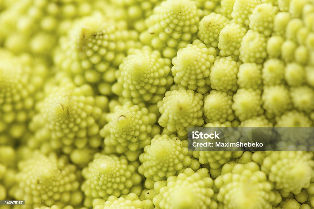 romanesko broccoli Agriculture Stock Photo