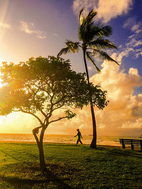 istock Man walking on the beach at sunset, Honolulu, Hawaii, USA 463484045