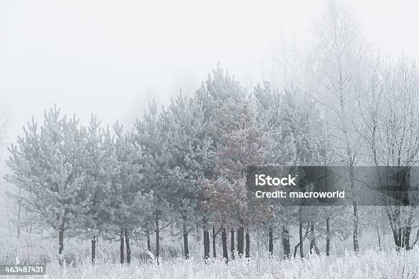 Зимний Пейзаж 36 Mpx — стоковые фотографии и другие картинки Пуховое одеяло - Пуховое одеяло, Белый, Без людей