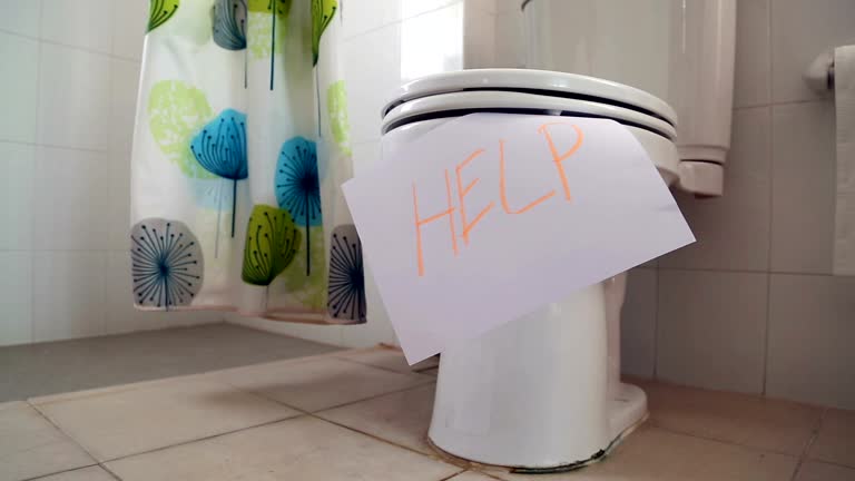 Human Toiler 300+ Human Toilet Bowl Stock Videos and Royalty-Free Footage - iStock
