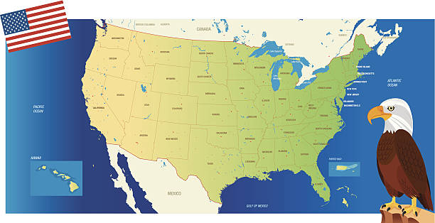 USA MAP Cartoon map of USA connecticut stock illustrations